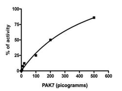 Abnova&trade;&nbsp;Human PAK7 kinase domain (Q9P286, 425 a.a. - 719 a.a.) Partial Recombinant Protein
