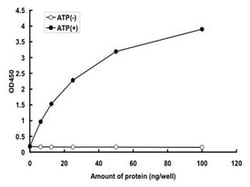Abnova Human BMPR2 (NP_001195.2, 174 a.a. - 1038 a.a.) Partial Recombinant Protein with GST-tag expressed in baculovirus infected Sf21 cells 5 &mu;g | Buy Online | Abnova&trade; | Fisher Scientific