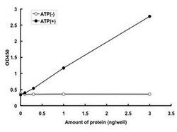 Abnova Human DMPK (AAA75236.1, 1 a.a. - 544 a.a.) Partial Recombinant Protein with GST-tag expressed in baculovirus infected Sf21 cells 5&mu;g | Buy Online | Abnova&trade; | Fisher Scientific