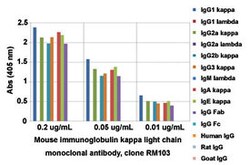 Kappa light chain Rabbit anti-Mouse, Clone: RM103, Abnova 100&mu;g; Unlabeled:Antibodies,