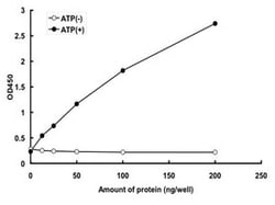 Abnova Human EIF2AK4 (NP_Q9P2K8.2, 1 a.a. - 1649 a.a.) Full-length Recombinant Protein with GST-tag expressed in baculovirus infected Sf21 cells 5 &mu;g | Buy Online | Abnova&trade; | Fisher Scientific