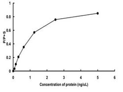 Abnova Human GRK4 (NP_892027.2, 1 a.a. - 578 a.a.) Full-length Recombinant Protein expressed in baculovirus infected Sf21 cells 5 &mu;g | Buy Online | Abnova&trade; | Fisher Scientific