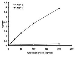 Abnova Human TNNI3K (NP_057062.1, 1 a.a. - 727 a.a.) Partial Recombinant Protein with His tag expressed in baculovirus infected Sf21 cells 5 &mu;g | Buy Online | Abnova&trade; | Fisher Scientific