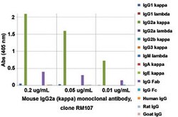 IGG2a, kappa Rabbit anti-Mouse, Clone: RM107, Abnova 100 &mu;g | Buy Online | Abnova Corporation | Fisher Scientific