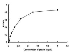 Abnova Human HIPK2 (Q9H2X6, 1 a.a. - 1198 a.a.) Full-length Recombinant Protein with GST-tag expressed in baculovirus infected Sf21 cells 5 &mu;g | Buy Online | Abnova&trade; | Fisher Scientific