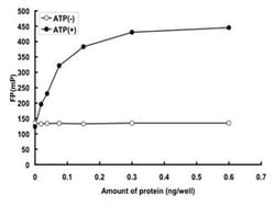 Abnova Human IRAK1 (NP_001560.2, 194 a.a. - 712 a.a.) Partial Recombinant Protein with GST-tag expressed in baculovirus infected Sf21 cells 5 &mu;g | Buy Online | Abnova&trade; | Fisher Scientific