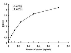 Abnova&trade;&nbsp;Human MAP3K2 (NP_006600.3, 337 a.a. - 620 a.a.) Partial Recombinant Protein with GST-tag expressed in baculovirus infected Sf21 cells