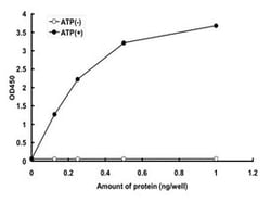 Abnova&trade;&nbsp;Human MAP3K11 (NP_002410.1, 99 a.a. - 398 a.a.) Partial Recombinant Protein with His tag expressed in baculovirus infected Sf21 cells