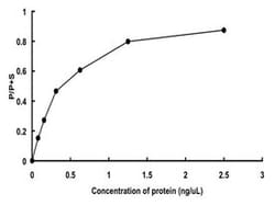 Abnova Human PHKG1 (NP_006204.1, 1 a.a. - 387 a.a.) Full-length Recombinant Protein with GST-tag expressed in baculovirus infected Sf21 cells 5 &mu;g | Buy Online | Abnova&trade; | Fisher Scientific