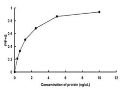 Abnova™ Human SLK (NP_055535.1, 1 a.a. - 1152 a.a.) Full-length Recombinant Protein with GST-tag expressed in baculovirus infected Sf21 cells