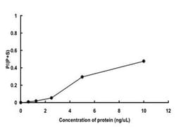 Abnova Human PIK3CB (NP_006210.1, 1 a.a. - 1070 a.a.) and PIK3R1 (NP_852664.1, 1 a.a. - 724 a.a.) Full-length Recombinant Protein with GST-tag expressed in baculovirus infected Sf21 cells 20&mu;g | Buy Online | Abnova&trade; | Fisher Scientific
