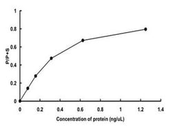 Abnova Human EGFR (NP_005219.2, 669 a.a. - 1210 a.a.) L861Q mutant parial Recombinant Protein with GST-tag expressed in Baculovirus infected Sf21 cells 5 &mu;g | Buy Online | Abnova&trade; | Fisher Scientific