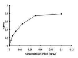 Abnova Human PDK3 (NP_004110.2, 546 a.a. - 993 a.a.) Partial Recombinant Protein with GST-tag expressed in Baculovirus infected Sf21 cells 5 &mu;g | Buy Online | Abnova&trade; | Fisher Scientific