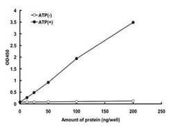 Abnova&trade;&nbsp;Human MAP3K14 (NP_003945.1, 658 a.a. - 1114 a.a.) Partial Recombinant Protein with GST-tag expressed in Baculovirus infected Sf21 cells