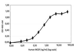 Abnova Human CSF1 (159 a.a.) Full-length Recombinant Protein with His tag expressed in Barley grain 1 mg | Buy Online | Abnova&trade; | Fisher Scientific