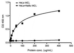 Histone H3(acetyl K18) Rabbit, Clone: RM166, Abnova 100μg; Unlabeled:Antibodies,