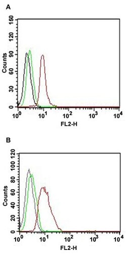 CCND1 Mouse anti-Human, PE, Clone: SPM587, Abnova 500&mu;L; PE:Antibodies,