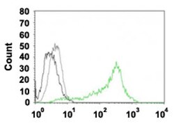 NCL Mouse anti-Human, Clone: 364-5, Abnova 100&mu;g; Unlabeled:Antibodies,