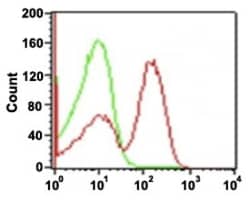 CD86 Mouse anti-Human, Clone: C86/1146, Abnova 100&mu;g; Unlabeled:Antibodies,