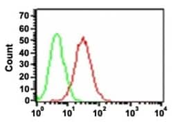 CD34 Mouse anti-Human, Clone: HPCA1/1171, Abnova 100μg; Unlabeled:Antibodies,