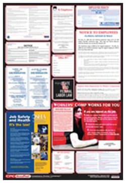 Accuform Signs Posters: Combined State, Federal and OSHA Labor Laws