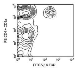 V 6 TCR Rat anti-Mouse, FITC, Clone: RR4-7, BD 0.25 mg | Buy Online | BD Biosciences | Fisher Scientific