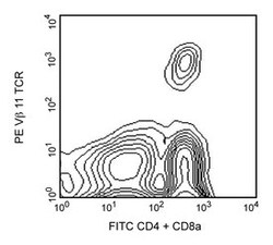 V 11 TCR Rat anti-Mouse, PE, Clone: RR3-15, BD 0.1mg; PE:Antibodies, Monoclonal