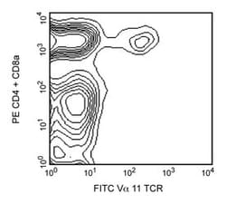V 11.1, 11.2[b,d] TCR Rat anti-Mouse, FITC, Clone: RR8-1, BD 0.25mg; FITC:Antibodies,