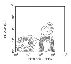 V 2 TCR Rat anti-Mouse, PE, Clone: B20.6, BD 0.1mg; PE:Antibodies, Monoclonal
