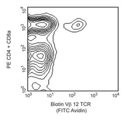 V 12 TCR Mouse anti-Mouse, Biotin, Clone: MR11-1, BD 0.25mg; Biotin:Antibodies,