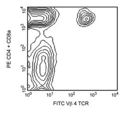 V 4 TCR Rat anti-Mouse, FITC, Clone: KT4, BD 0.25mg; FITC:Antibodies, Monoclonal