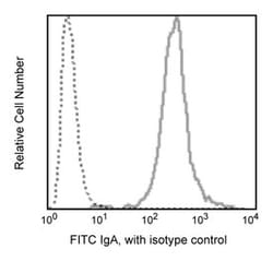 IgA Rat anti-Mouse, FITC, Clone: C10-3, BD 0.5mg; FITC:Antibodies, Monoclonal