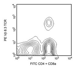 V 8.3 T-Cell Receptor Hamster anti-Mouse, PE, Clone: 1B3.3, BD 0.1mg; PE:Anticuerpos