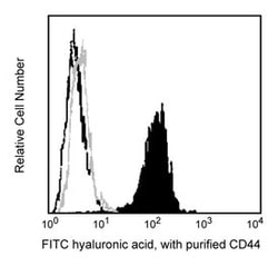 CD44 Rat anti-Mouse, NA/LE, Unlabeled, Clone: KM114, BD 0.5mg; NA/LE, Unlabeled:Antibodies,