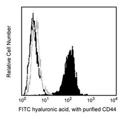 CD44 Rat anti-Mouse, Unlabeled, Clone: KM114, BD 0.1mg; Unlabeled:Antikroppar