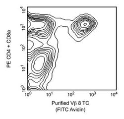 V 8 T-Cell Receptor Mouse anti-Mouse, Biotin, Clone: F23.1, BD 0.25mg;