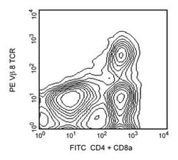 V 8 T-Cell Receptor Mouse anti-Mouse, PE, Clone: F23.1, BD 0.1mg; PE:Antibodies,