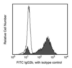 Mouse anti-Rat IgG2b, Clone: RG7/11.1, FITC, Secondary Antibody, BD 0.5mg;
