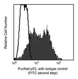 p53 Mouse anti-Human, Unlabeled, Clone: DO-7, BD 0.1mg; Unlabeled:Antibodies,