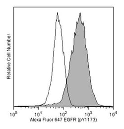 EGF Receptor (pY1173) Mouse, Alexa Fluor 647, Clone: 9H2, BD 50 Tests;