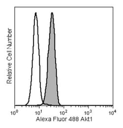 Akt1 Mouse, Alexa Fluor 488, Clone: 55/PKBa/Akt, BD 50 Tests; Alexa Fluor