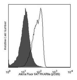 PKA RII (pS99) Mouse anti-Human, Alexa Fluor 647, Clone: I65-856.286, BD