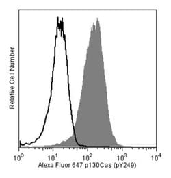 p130Cas (pY249) Mouse anti-Human, Alexa Fluor 647, Clone: J169-757.12.2, BD 50 Tests | Buy Online | BD Biosciences | Fisher Scientific