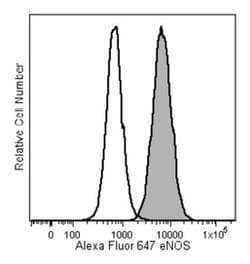eNOS Mouse, Alexa Fluor 647, Clone: 33/eNOS, BD 50 Tests; Alexa Fluor 647:Antibodies,