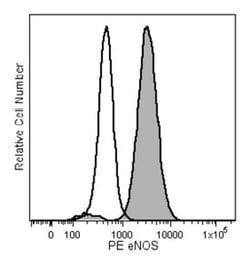 eNOS Mouse, PE, Clone: 3/eNOS/NOS Type III, BD 50 Tests; PE:Antibodies,