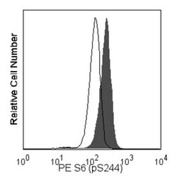 S6 (pS244) Mouse, PE, Clone: N5-676, BD 50 Tests; PE:Antibodies, Monoclonal