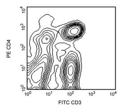 CD4 Mouse anti-Rat, PE, Clone: OX-35, BD 0.2mg; PE:Antibodies, Monoclonal