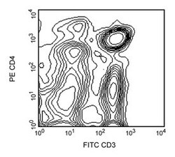 CD4 Mouse anti-Rat, PE, Clone: OX-38, BD 0.1mg; PE:Antibodies, Monoclonal
