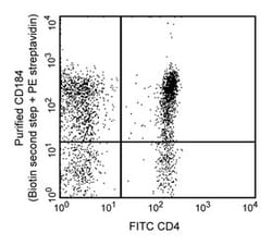 CD184 Rat anti-Human, Unlabeled, Clone: 1D9, BD 0.1mg; Unlabeled:Antibodies,