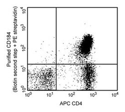 CD184 Rat anti-Mouse, Unlabeled, Clone: 2B11/CXCR4, BD 0.1mg; Unlabeled:Antibodies,